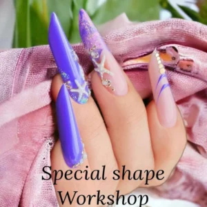 Special Shapes - Workshop