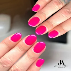 Gelé Basic - Workshop