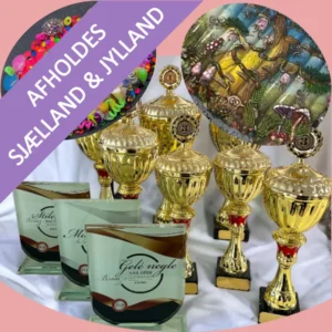 Mixed Media - Workshop